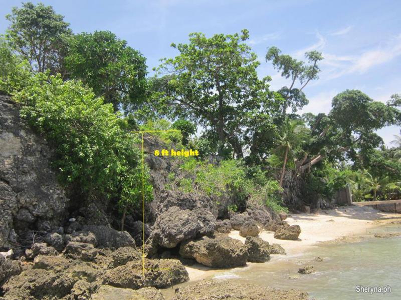RONDA CEBU BEACH LOTS FOR SALE Cebu City, Cebu Photo 4