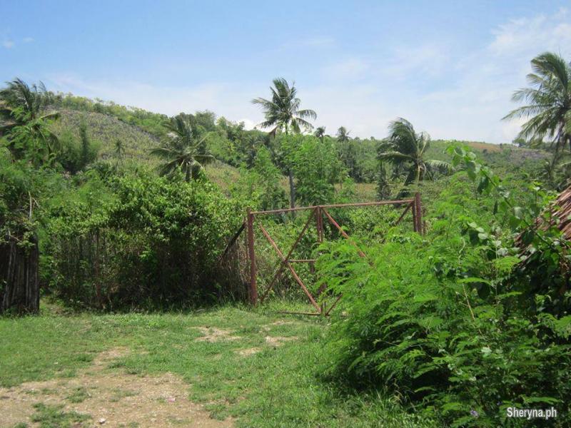 RONDA CEBU BEACH LOTS FOR SALE Cebu City, Cebu Photo 6